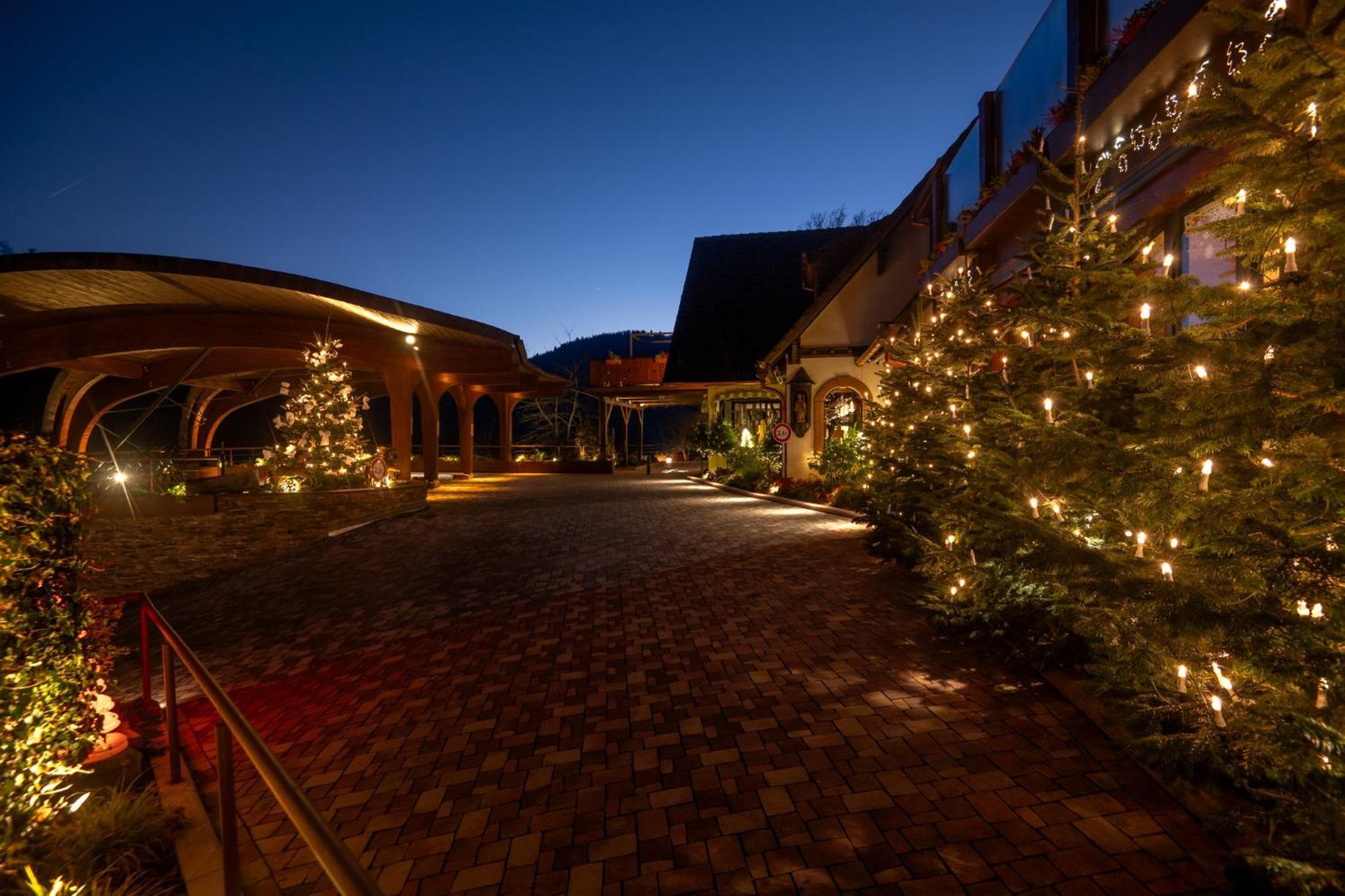 Hotel La Cheneaudière&spa 5*